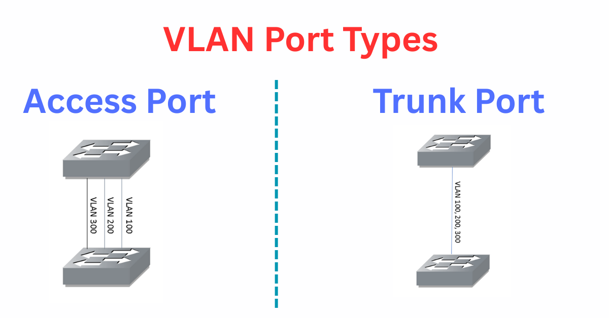 vlan port types